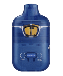 Boutiq Disposable Acai Mintz